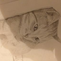 Malarstwo artystyczne Chorzów 4