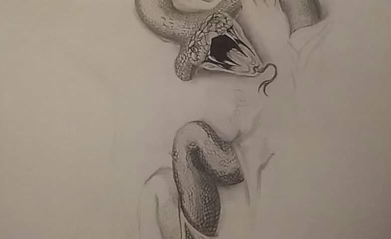 Szkic ołówkiem przedstawiający kobrę z otwartą paszczą, zwiniętą w esowaty kształt na jasnym tle.