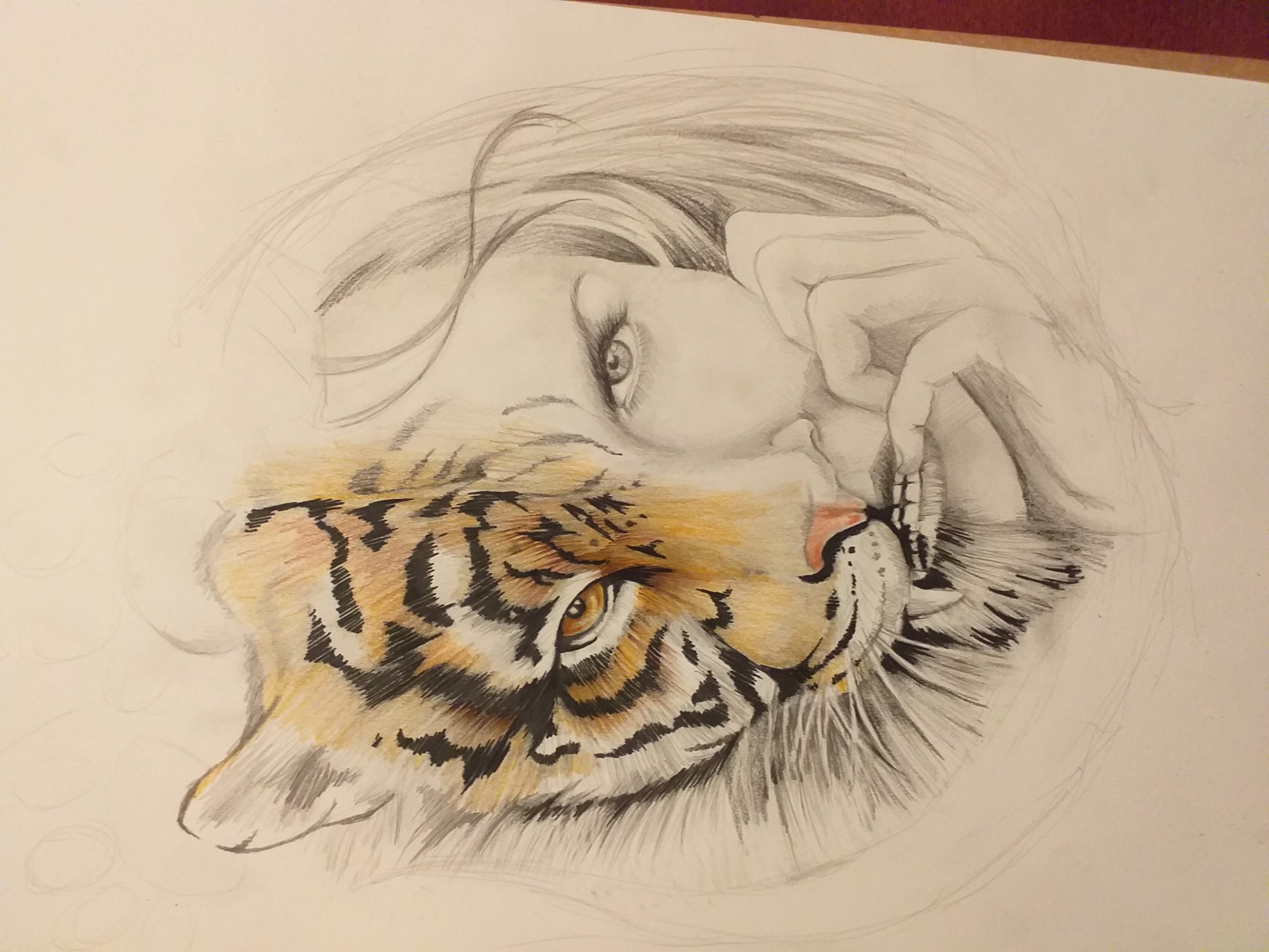 Szkic ołówkiem przedstawiający portret kobiety z tygrysem, gdzie pysk tygrysa jest częściowo pokolorowany, a reszta rysunku jest w odcieniach szarości.