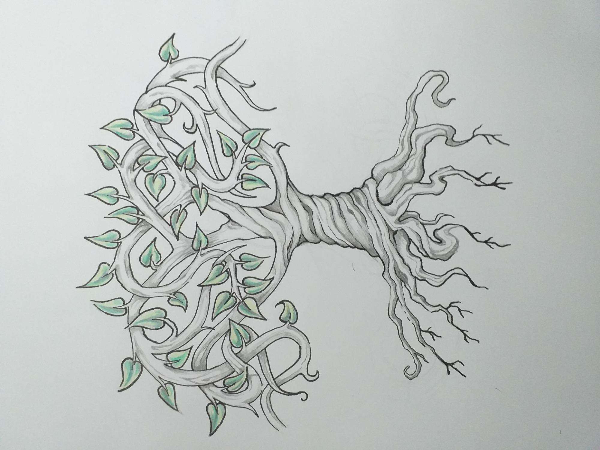 Ręcznie rysowany szkic drzewa z liśćmi, wykonany czarnym tuszem i szarymi cieniami, z delikatnymi zielonymi akcentami na liściach, na białym tle.