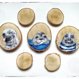 Ręcznie malowane, artystyczne plasterki drewna z wizerunkami fok: jedna z wyciągniętym językiem, druga w wodzie, trzecia w marynarskim swetrze; na białym tle.