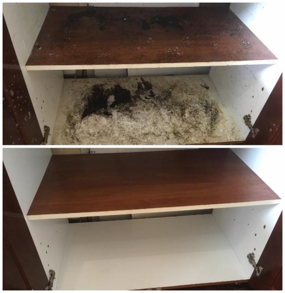 Zdjęcie przedstawia wnętrze szafki kuchennej przed i po czyszczeniu. Górna część ukazuje zabrudzenia i plamy, natomiast dolna część prezentuje czystą, odświeżoną powierzchnię.