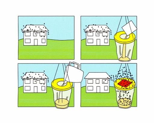 Ilustracja przedstawia proces eliminacji insektów z domu za pomocą pułapki: początkowo dom jest infestowany, następnie umieszcza się pułapkę, wlewa się do niej płyn i na koniec pułapka łapie insekty.