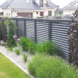 Nowoczesny ogród z ciemnoszarą, lamelową konstrukcją ogrodzeniową, ozdobnymi trawami, kulistymi kwiatami czosnku ozdobnego i drzewkiem o purpurowych liściach, na tle domu z ciemną dachówką.