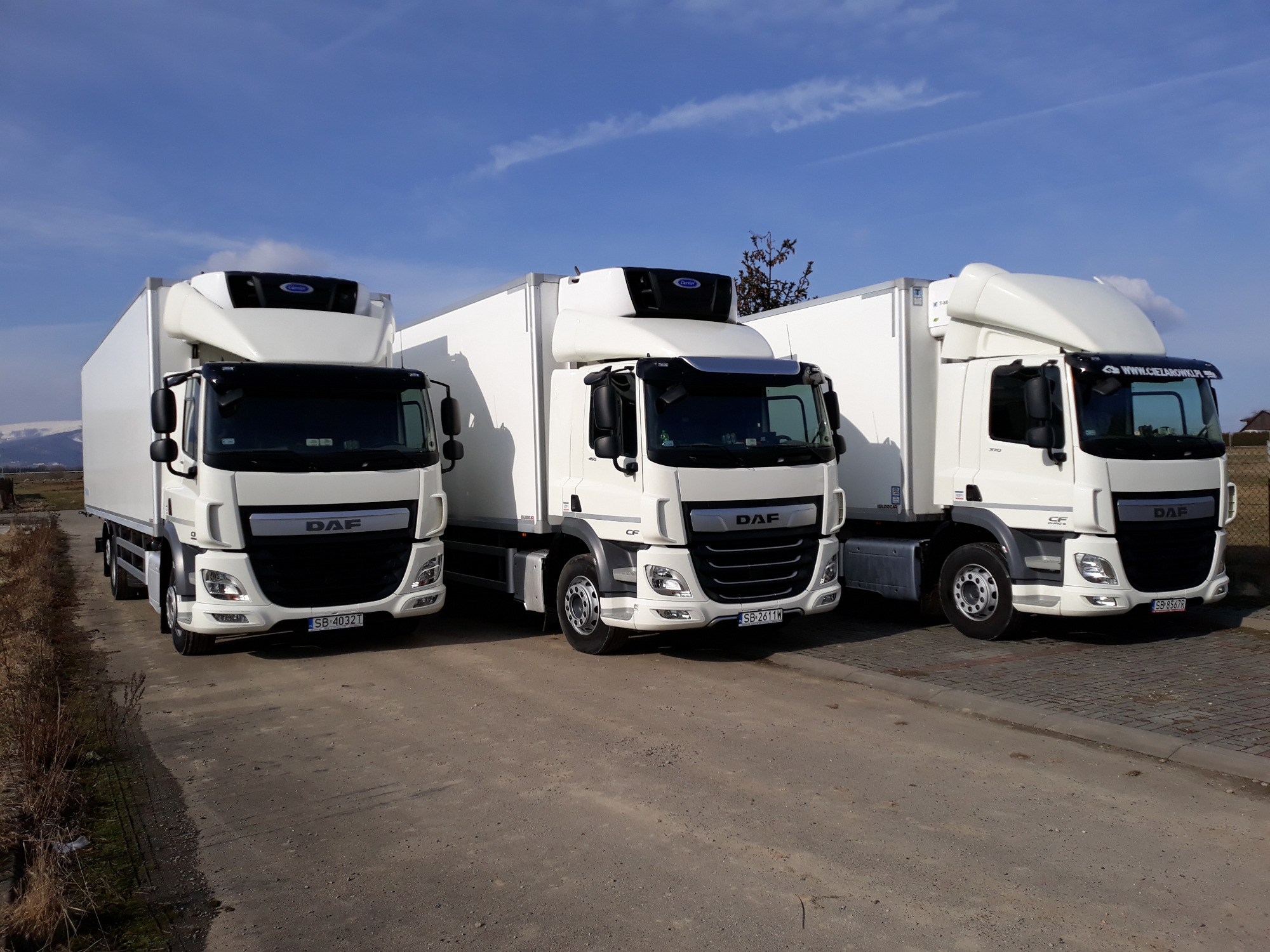 Trzy białe samochody ciężarowe DAF z chłodniami zaparkowane obok siebie na szutrowej drodze w słoneczny dzień, widoczne numery rejestracyjne i logo DAF.