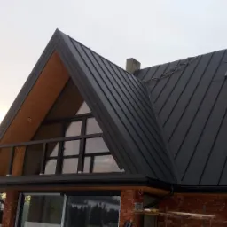 Dom z dachem z czarnych płyt warstwowych, widoczna drabina linowa na dachu i trójkątne okno na poddaszu.