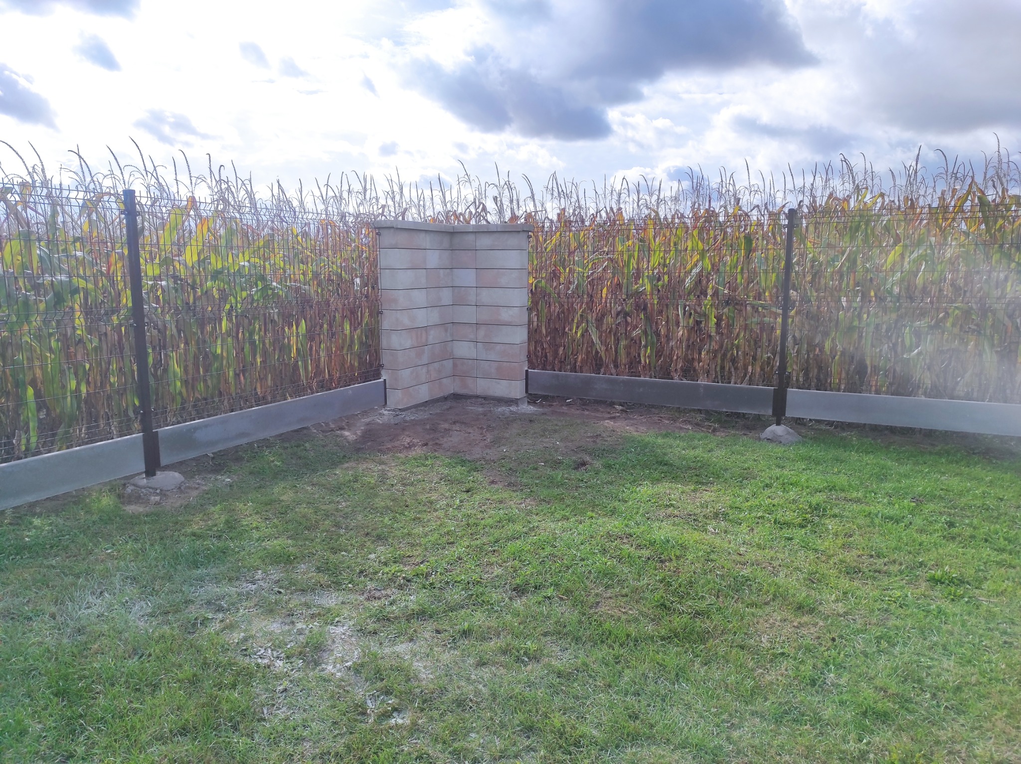 Fragment nowo postawionego ogrodzenia panelowego z podmurówką i słupkiem z bloczków betonowych na tle pola kukurydzy i pochmurnego nieba.