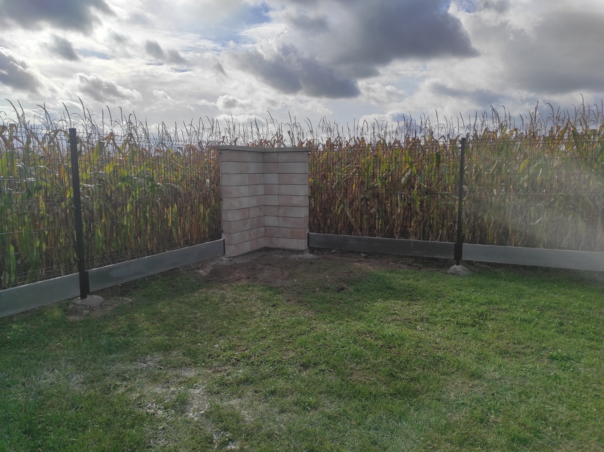 Fragment ogrodzenia panelowego z betonową podmurówką i słupkami, zakończony narożnym, murowanym z bloczków elementem, na tle pola kukurydzy i pochmurnego nieba.