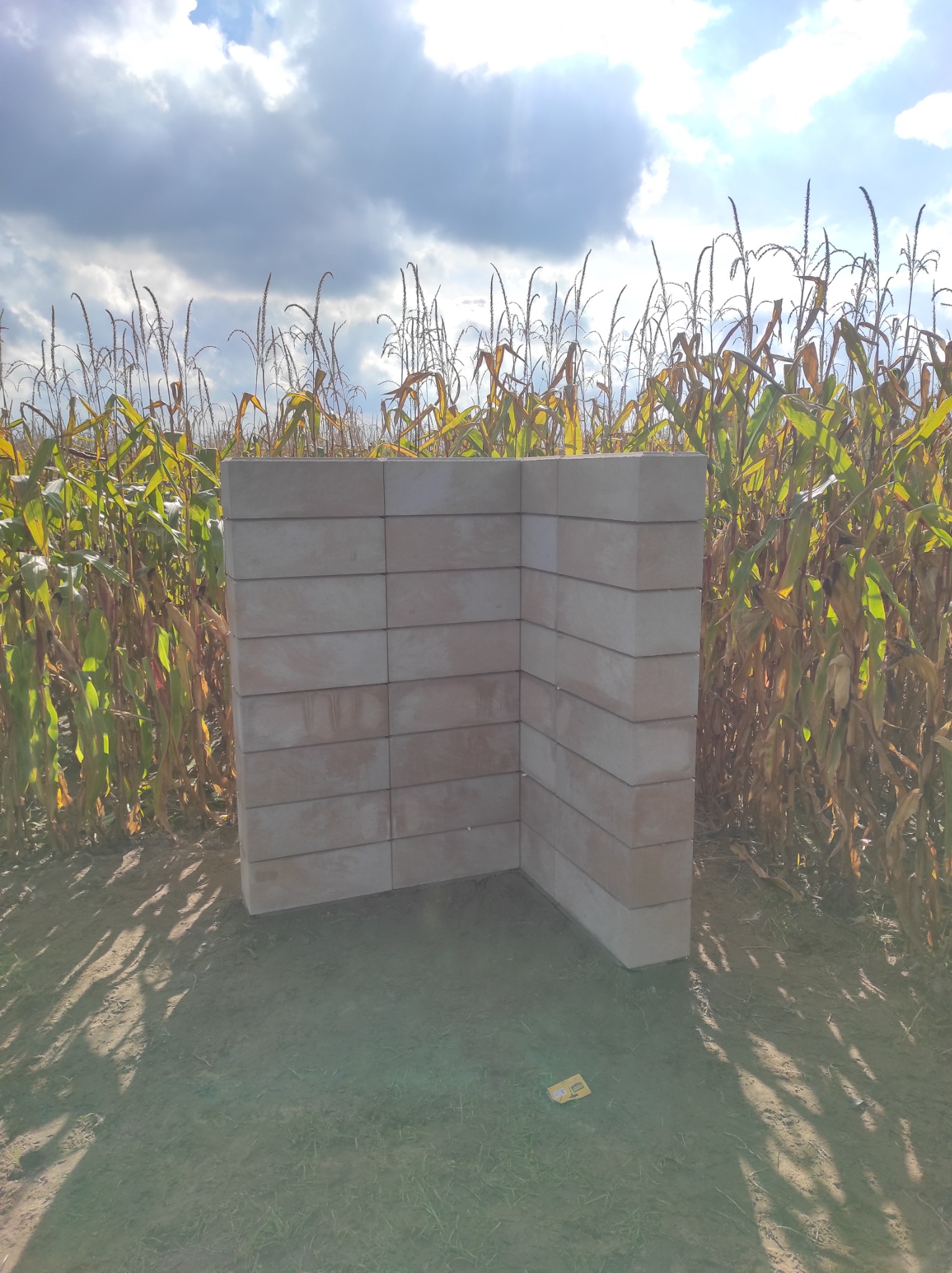 Narożnik ogrodzenia z jasnych, prostokątnych bloczków betonowych, w tle pole kukurydzy pod błękitnym niebem z promieniami słońca.