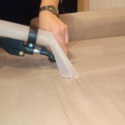 Dom Bez Alergii - Usuwanie plam i zacieków