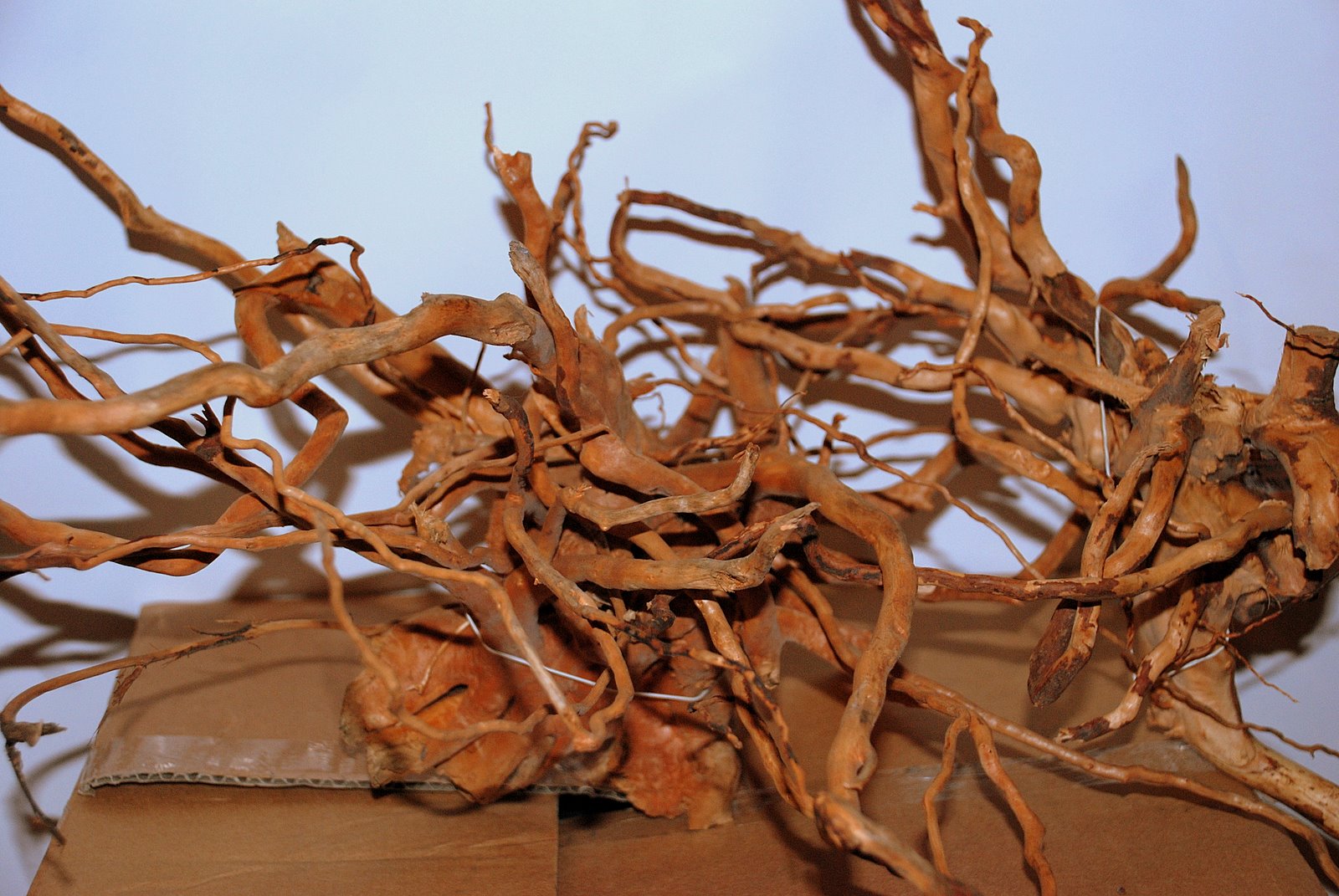 Korzeń drzewa o nieregularnym kształcie, przeznaczony do dekoracji akwarium, leżący na kartonowym podłożu na tle białej ściany.