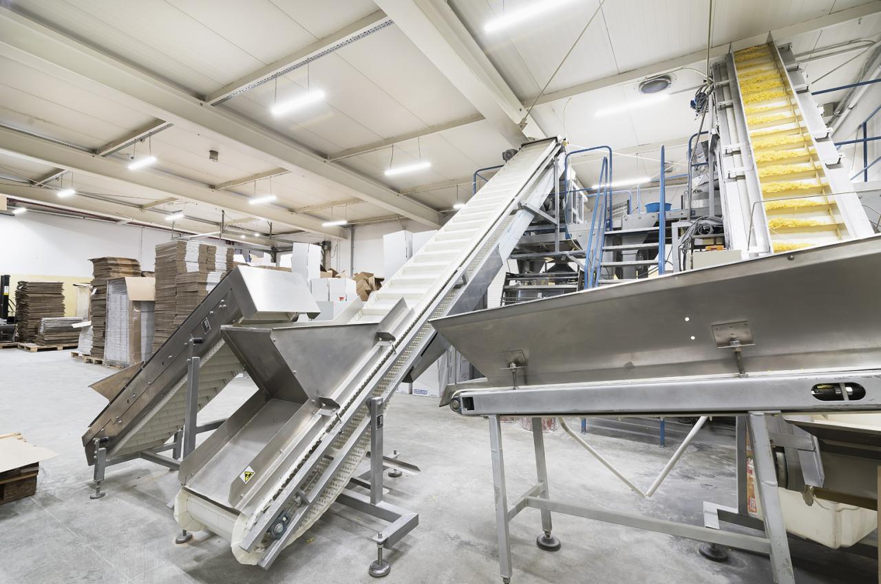 Wnętrze hali produkcyjnej z liniami transportowymi i oświetleniem LED pod sufitem, kartony w tle.