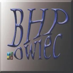 Logo firmy oferującej szkolenia z zakresu bezpieczeństwa i higieny pracy, stylizowane 3D niebieskie litery na szarym tle.