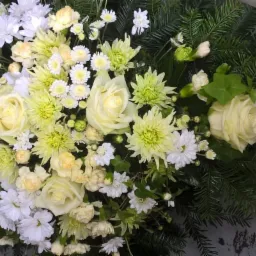 Kompozycja kwiatowa z białych i kremowych r&oacute;ż, chryzantem i drobnych białych kwiat&oacute;w, uzupełniona zielonymi gałązkami świerku i wstążką.