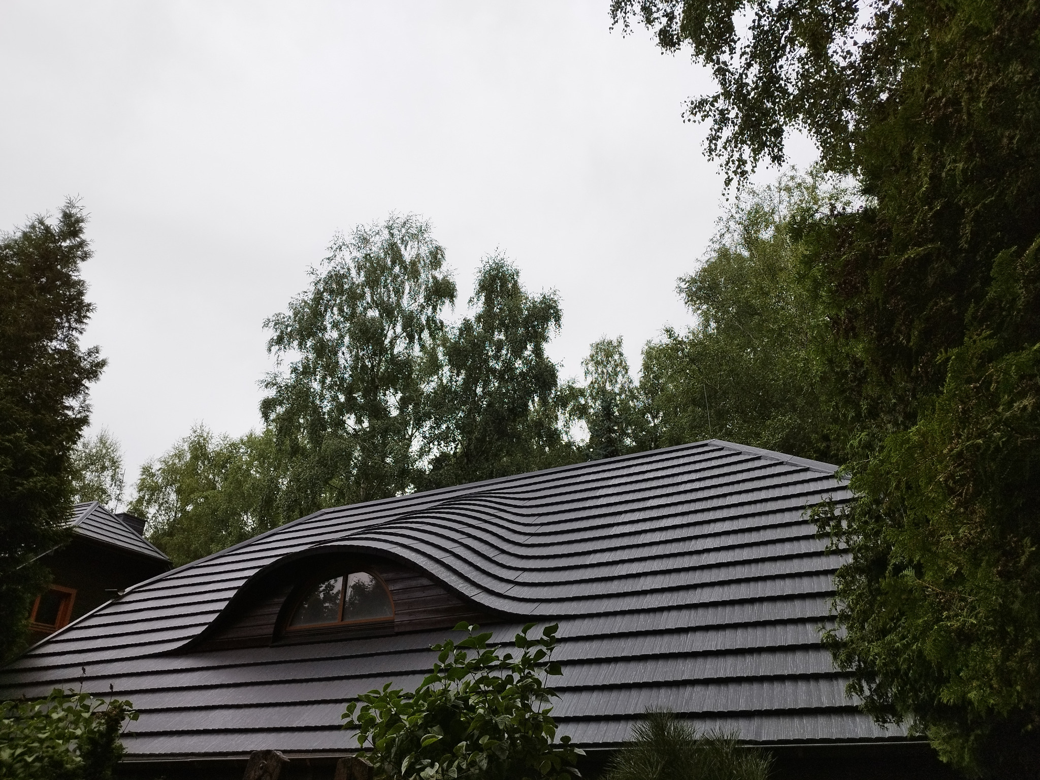 Czarny dach z falistą linią okapu i owalnym oknem na tle zieleni drzew