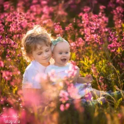 Brat trzymający na kolanach roześmianą siostrę w kwitnącym różowym polu, delikatne światło słoneczne, zielona kokardka we włosach dziewczynki, miękkie rozmycie tła.