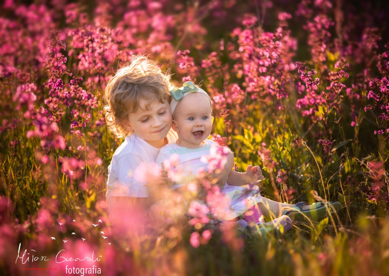 Brat trzymający na kolanach roześmianą siostrę w kwitnącym różowym polu, delikatne światło słoneczne, zielona kokardka we włosach dziewczynki, miękkie rozmycie tła.