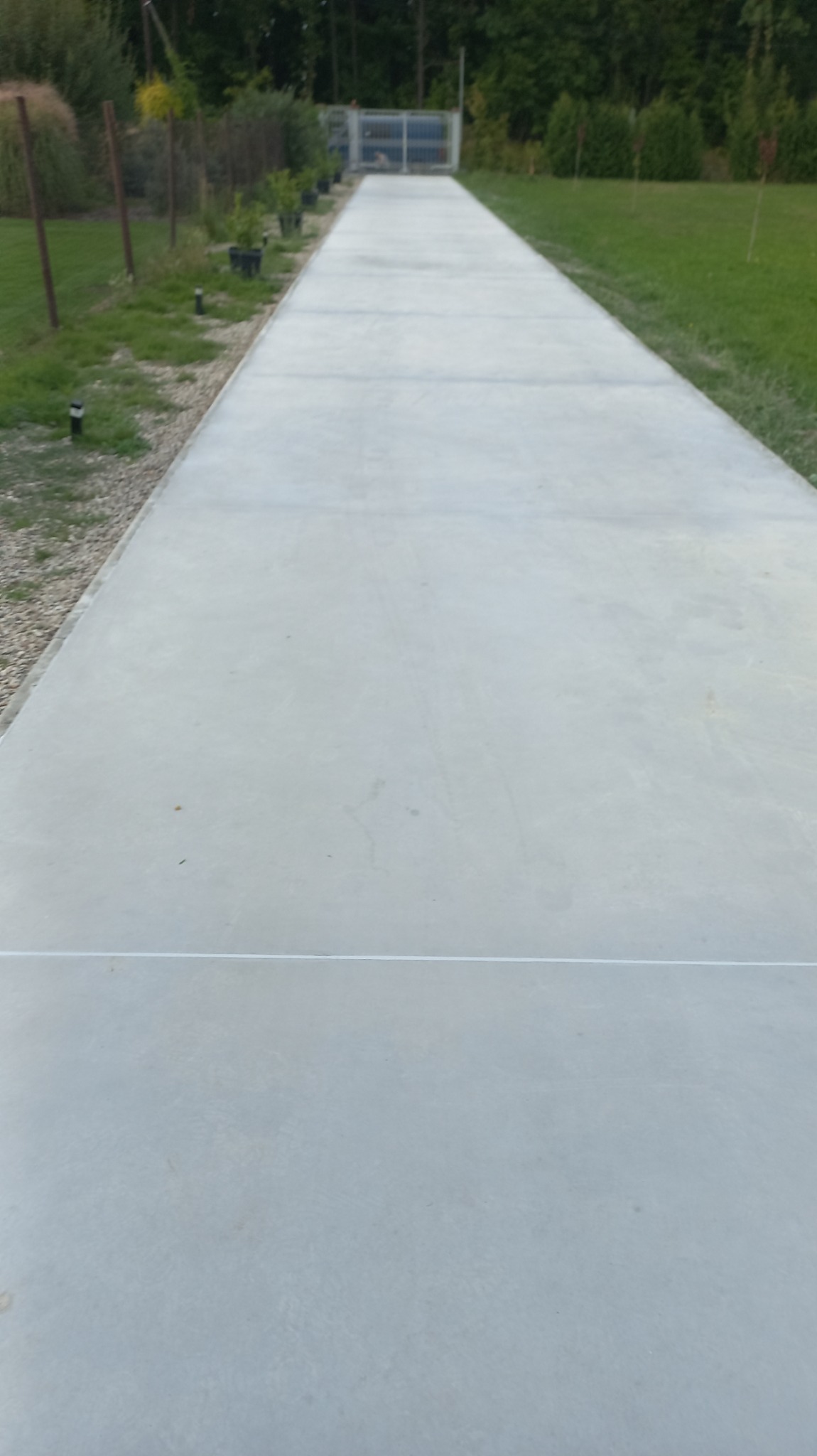 Długa, równa, szara betonowa ścieżka prowadząca do metalowej bramy, otoczona zielonym trawnikiem i roślinami w donicach.