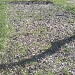 Pielęgnacja ogrodów Złocieniec 4