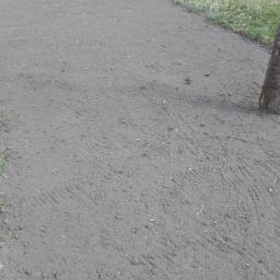 Wycinka drzew prace ogrodowe - Przygotowana, wyrównana gleba pod trawnik lub nasadzenia, widoczne ślady po bronowaniu, obok fragment pnia drzewa i betonowe ogrodzenie.