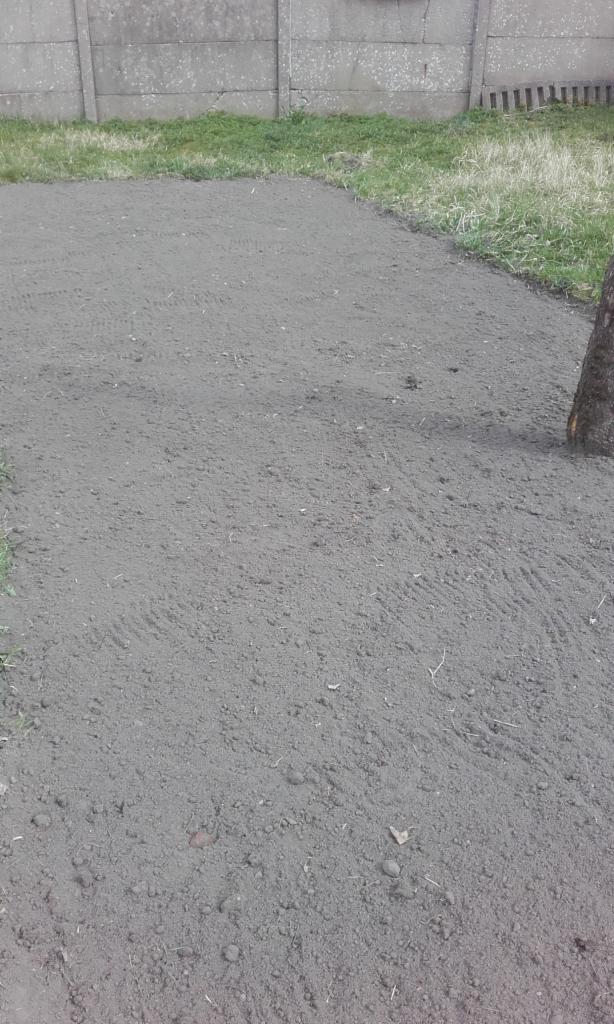 Przygotowana, wyrównana gleba pod trawnik lub nasadzenia, widoczne ślady po bronowaniu, obok fragment pnia drzewa i betonowe ogrodzenie.