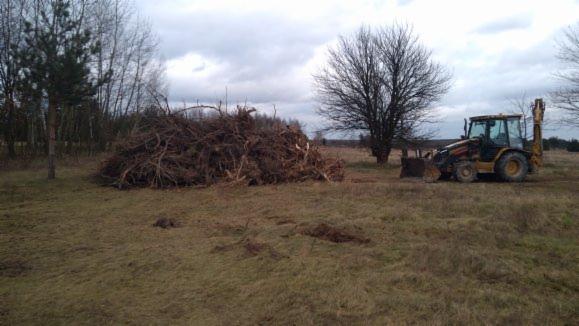 Żółta koparko-ładowarka stoi na polu obok dużego stosu wykopanych korzeni i gałęzi drzew; w tle widoczne drzewa i pochmurne niebo.