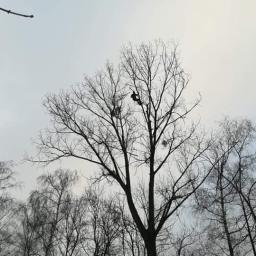 Pielęgnacja ogrodów Gardeja 2