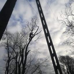 Pielęgnacja ogrodów Gardeja 4