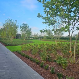 Ogród z pasją - Nowoczesny ogród z równo przystrzyżonym trawnikiem, ścieżką z kostki i rabatami wysypanymi korą. Widoczne młode drzewa i krzewy. Całość utrzymana w stonowanej kolorystyce.