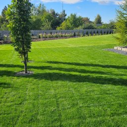 Projektowanie ogrodów Jarocin 2