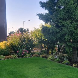 Projektowanie ogrodów Jarocin 1