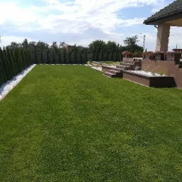 Perfekcyjnie utrzymany trawnik z rolki w Jarocinie, obrzeża z białych kamieni, rząd tuj i schody prowadzące do tarasu z kwiatami.