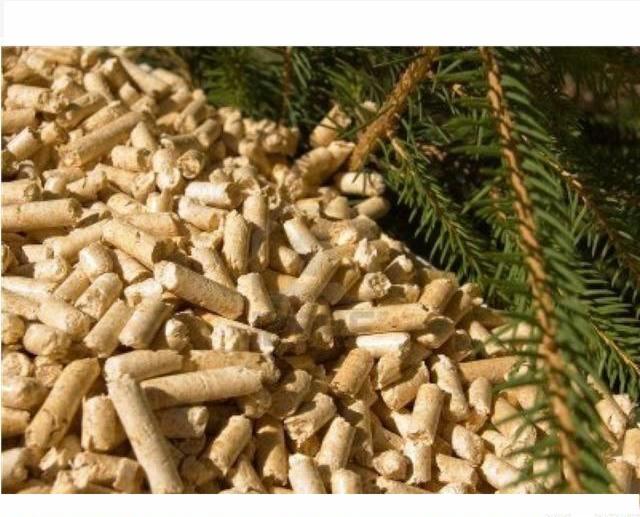 Jasne, cylindryczne bryłki opału z drewna ułożone w stos, z gałązką świerkową w tle.