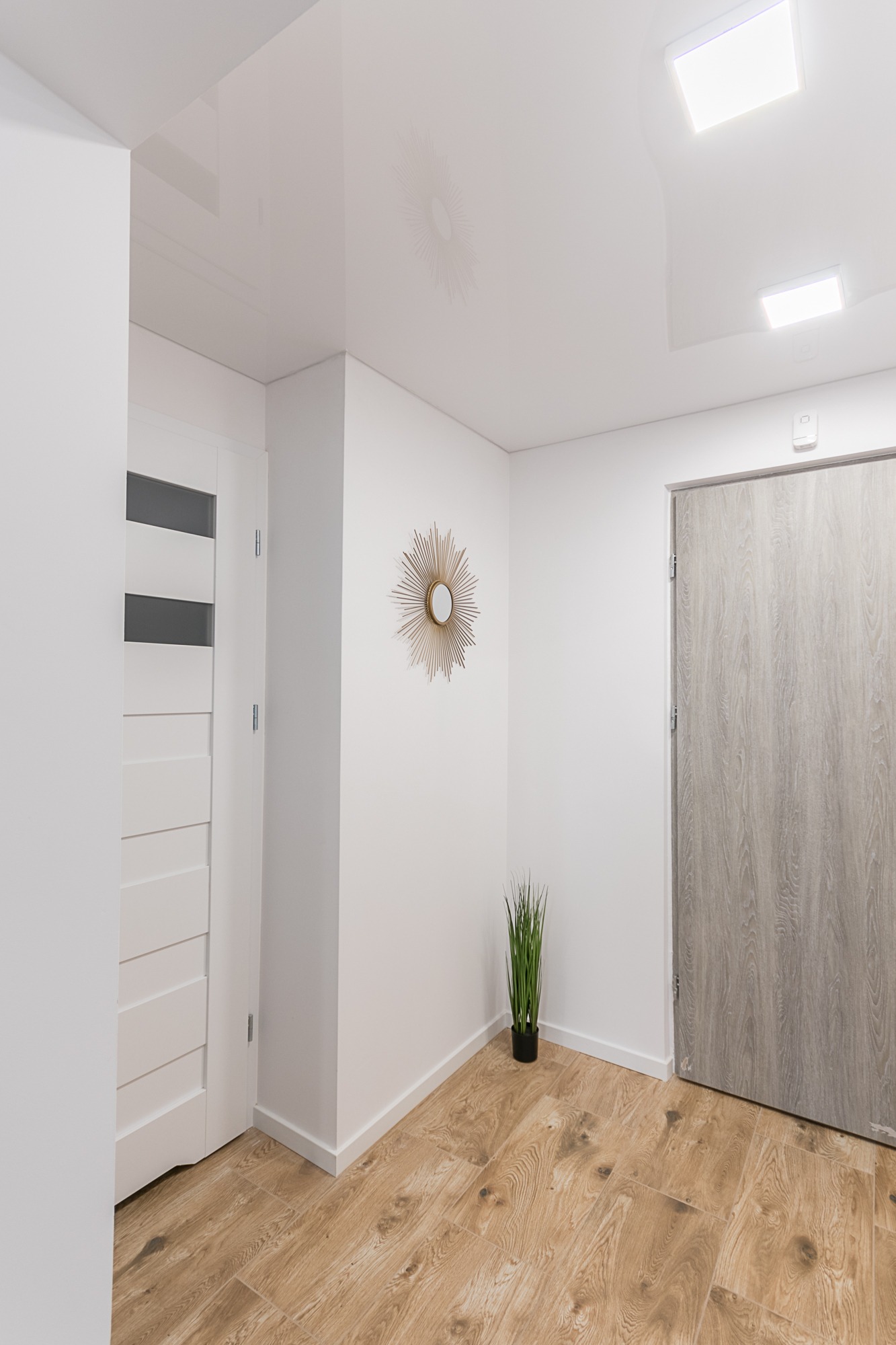 Jasne wnętrze przedpokoju z panelami podłogowymi imitującymi drewno, białą stolarką drzwiową z przeszkleniami, szarą okleiną drzwi wejściowych, lustrem w kształcie słońca i rośliną doniczkową w rogu.