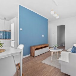 Glazurnik Ruda Śląska 2