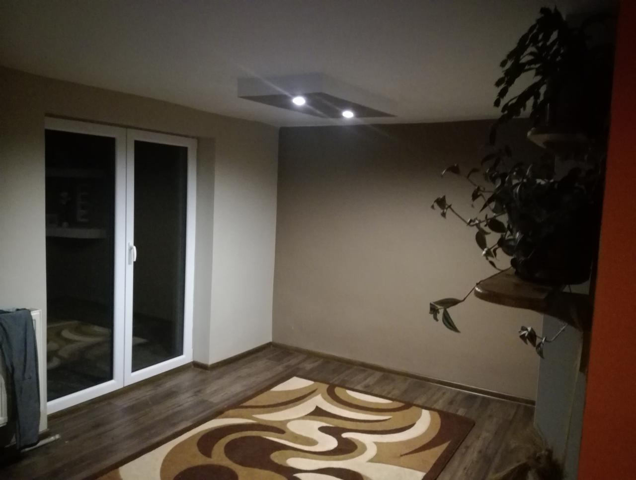 Ukończone wnętrze pokoju z drewnianą podłogą, wzorzystym dywanem, białymi drzwiami balkonowymi i rośliną doniczkową na półce w rogu.