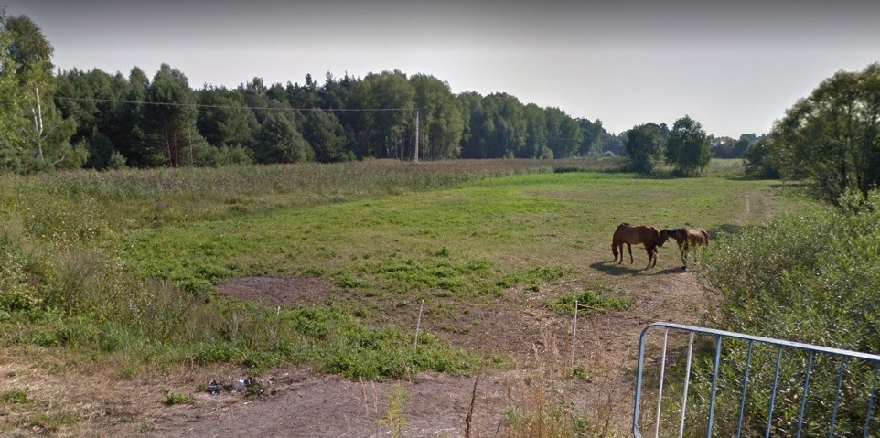 Rozległa łąka z dwoma końmi w oddali, otoczona lasem. W pierwszym planie widoczne fragmenty ogrodzenia.