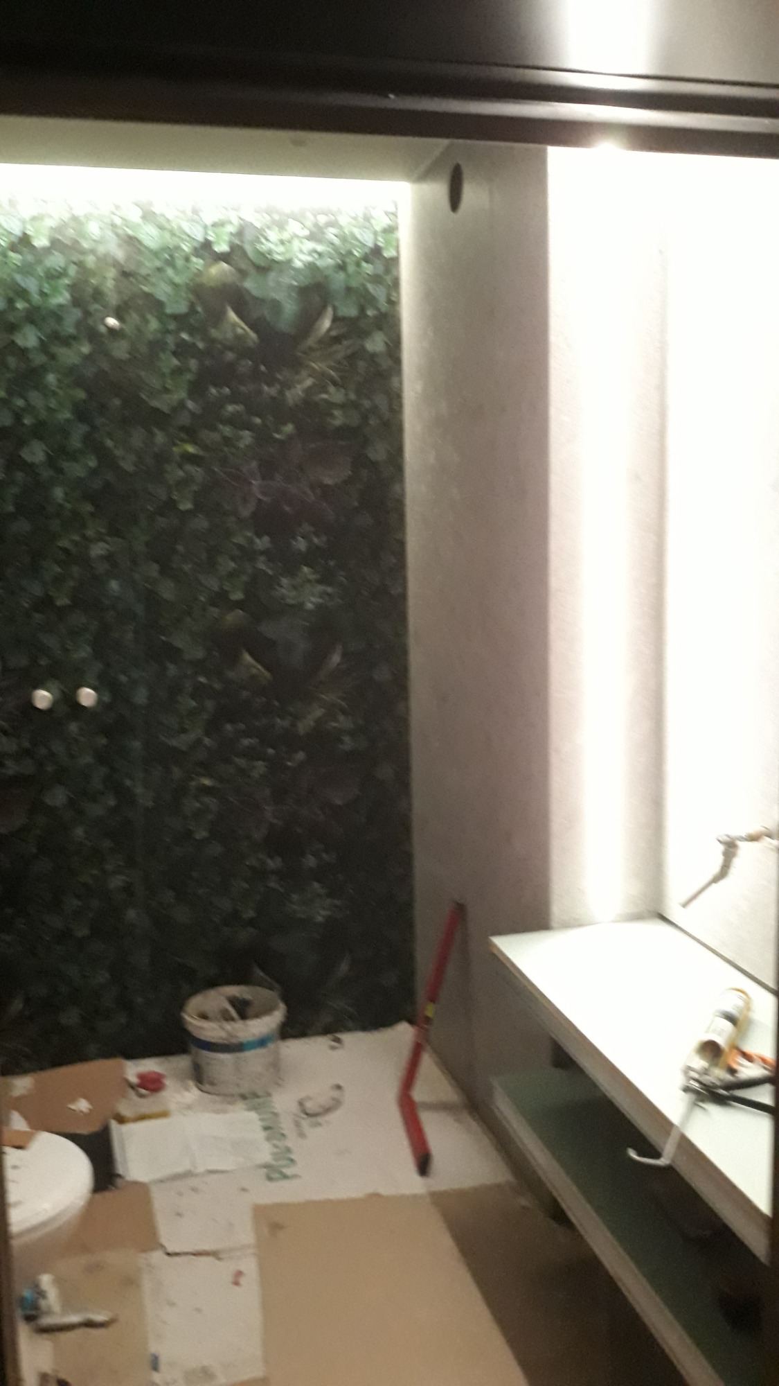 Przygotowania do prac wykończeniowych w łazience z zieloną ścianą z roślin, widoczny poziomica, wiadro z farbą i zabezpieczona podłoga.