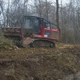 Czerwony mulczer leśny ST6000 na gąsienicach, pracujący na skarpie z gałęzi i ziemi, w tle widoczny las bezlistny.