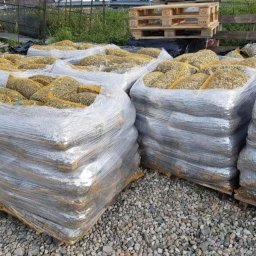 Budowa dróg Łodygowice 3