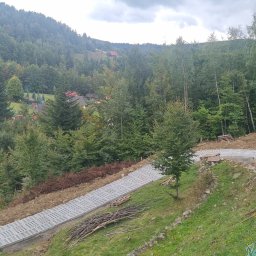 PSJ JANUSZ STANIK - Ułożona z ażurowych płyt betonowych kręta droga na zboczu, w tle las i zabudowania, obok stos drewna i zielona siatka ogrodzeniowa.