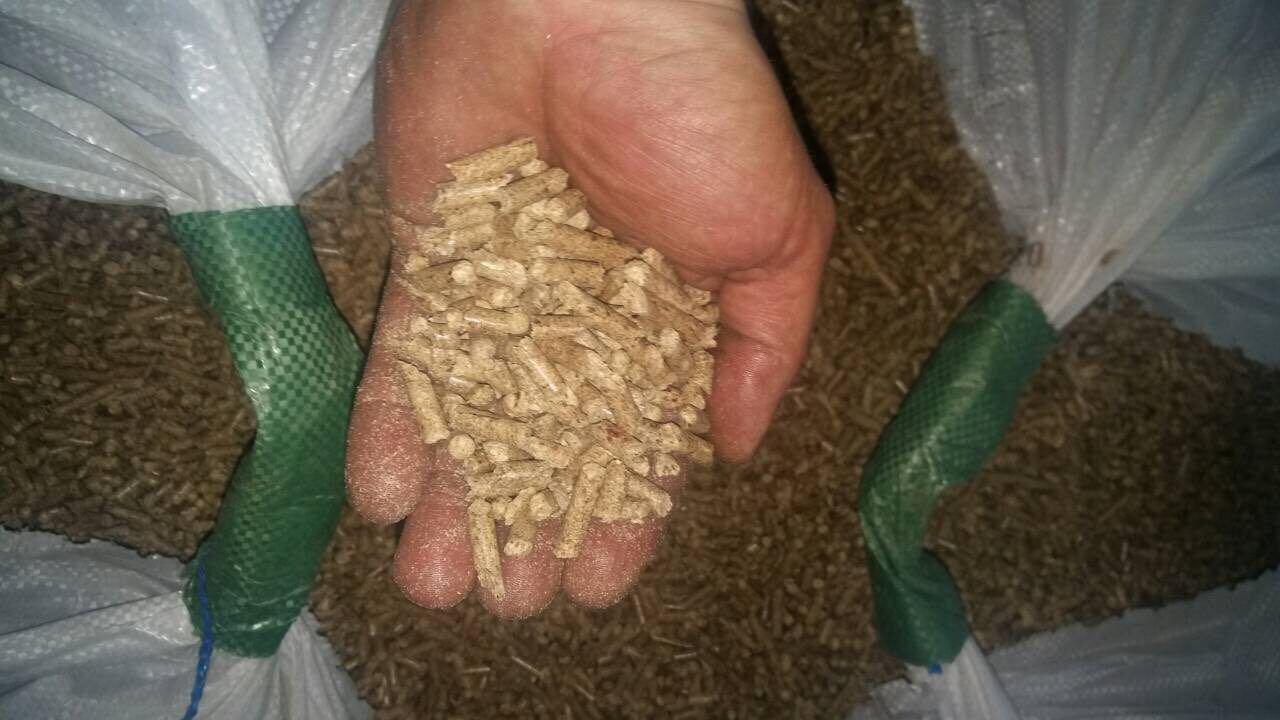 Dłoń trzymająca jasne granulki, prawdopodobnie biopaliwa, na tle worków wypełnionych tym samym materiałem, z widocznymi zielonymi wiązaniami.