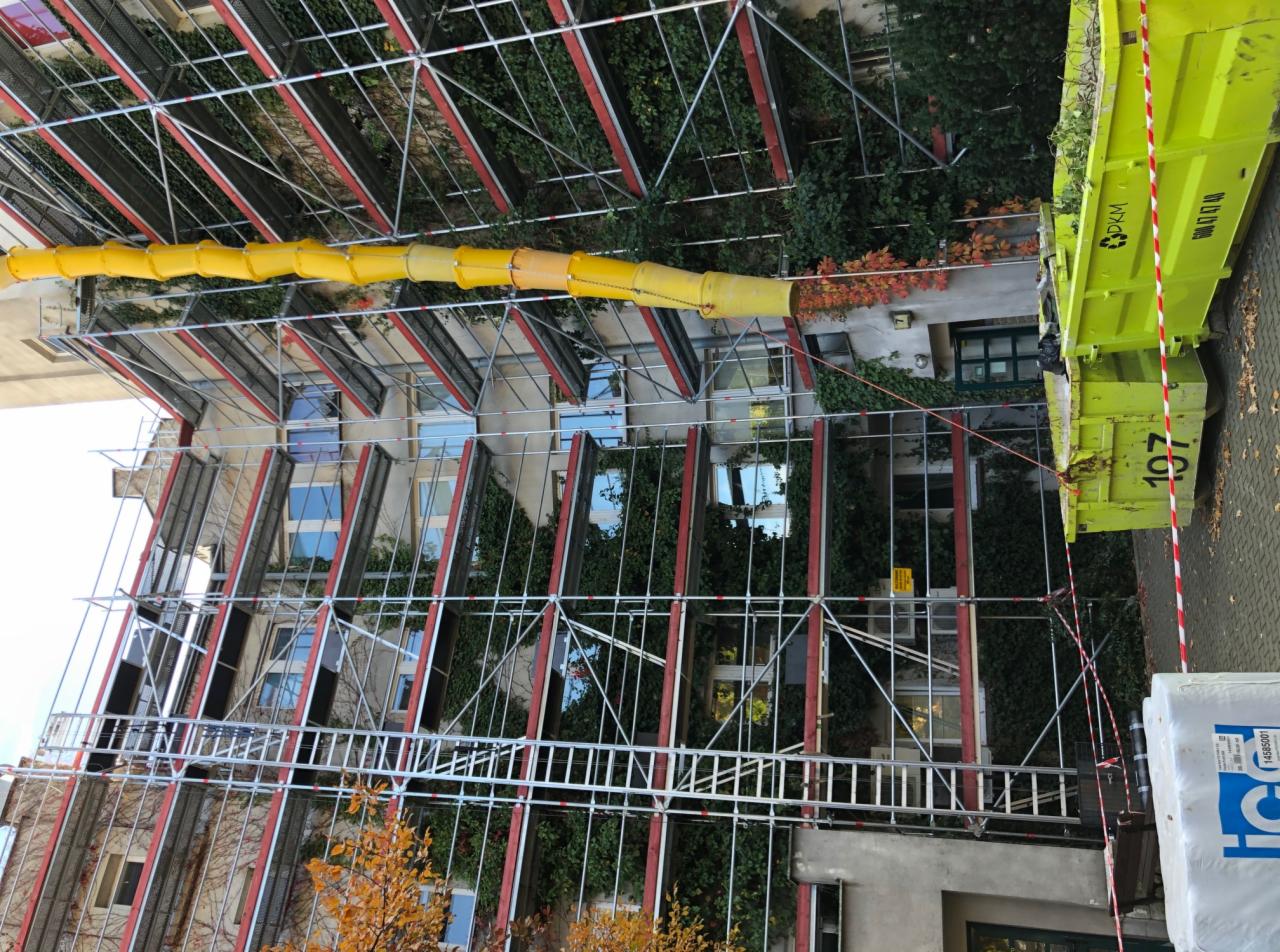 Budynek w rusztowaniach z żółtym zsypem na gruz i kontenerem na odpady, częściowo porośnięty bluszczem.