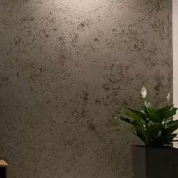 Ściana z efektem dekoracyjnym w szaro-beżowej tonacji, oświetlona punktowym światłem, z rośliną doniczkową w ciemnej, kwadratowej donicy po prawej stronie. Widoczny fragment podłogi i listwy...