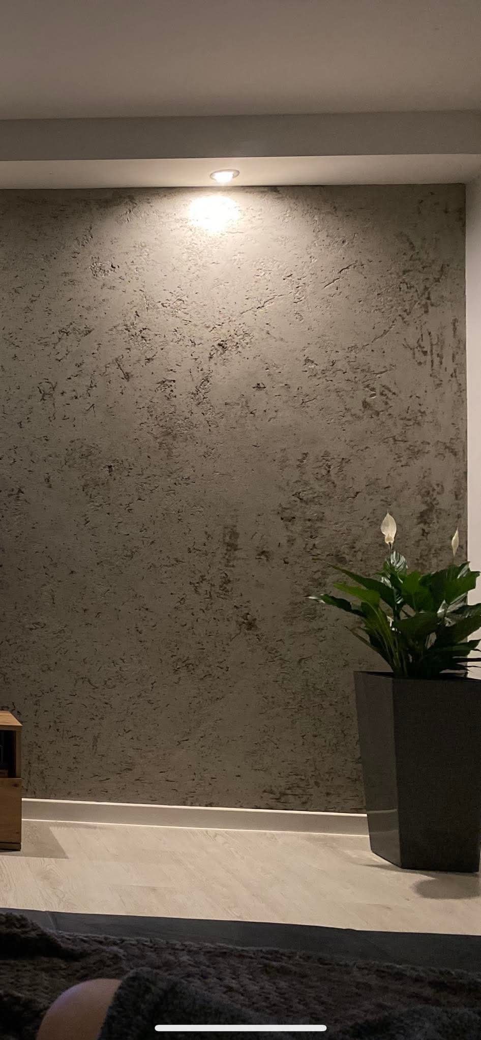 Ściana z efektem dekoracyjnym w szaro-beżowej tonacji, oświetlona punktowym światłem, z rośliną doniczkową w ciemnej, kwadratowej donicy po prawej stronie. Widoczny fragment podłogi i listwy...