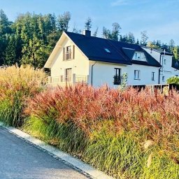 MEGIDO_Serwis - Nowoczesny dom jednorodzinny z czarnym dachem, otoczony ozdobnymi trawami w odcieniach zieleni i czerwieni, widok z poziomu ulicy.