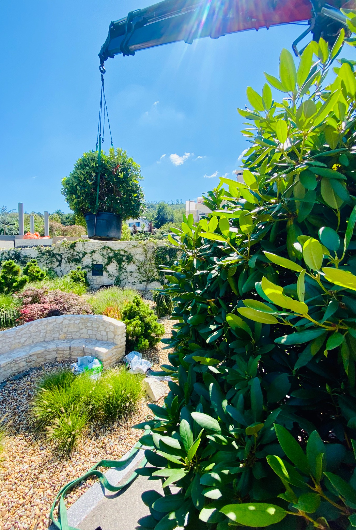 Krzew w donicy podnoszony przez dźwig na tle ogrodu z kamiennym murkiem i ławką, słoneczny dzień.