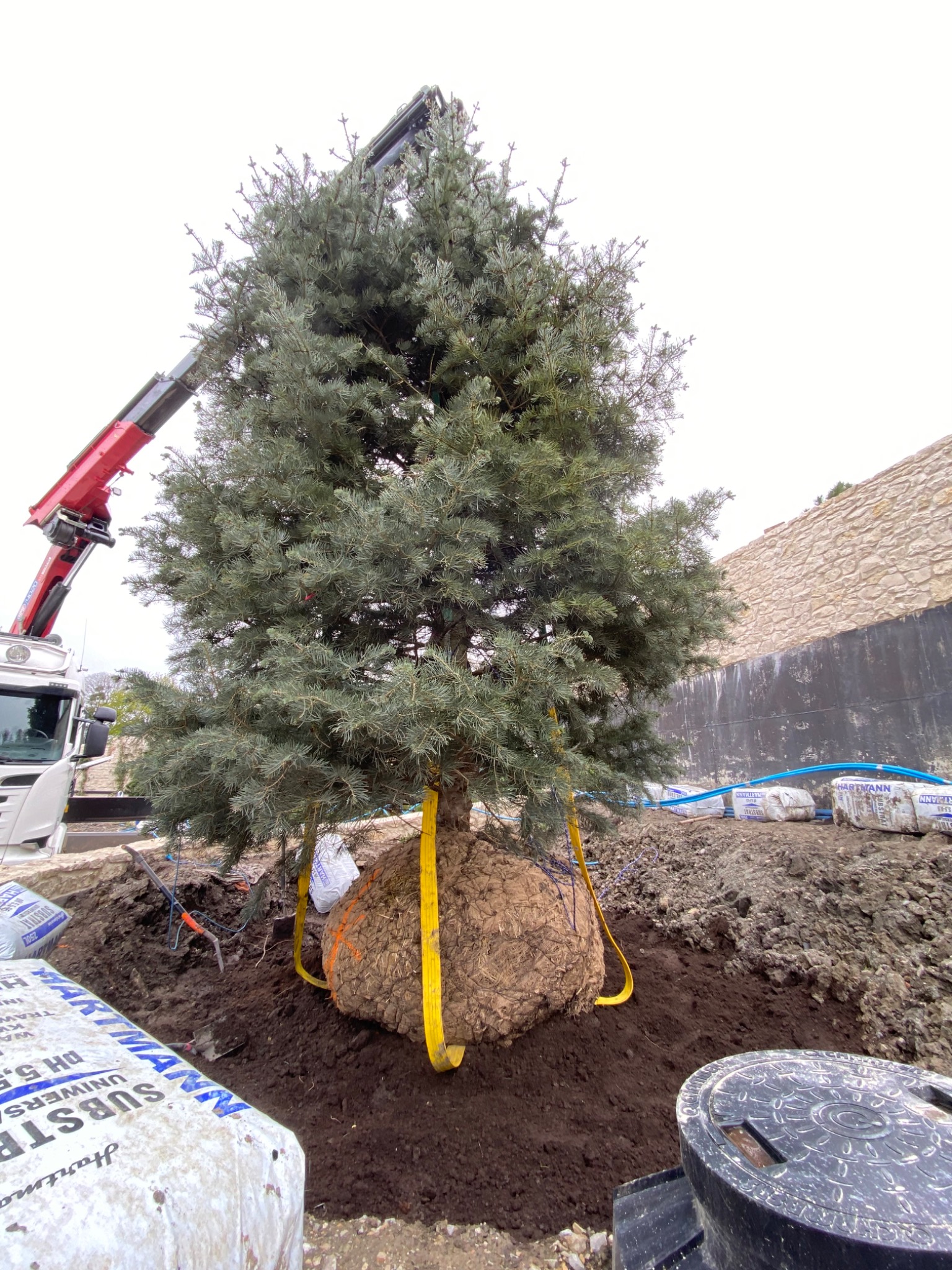 Przenoszenie dużego świerka srebrnego z bryłą korzeniową za pomocą dźwigu samochodowego, widoczne worki z podłożem i narzędzia ogrodnicze.