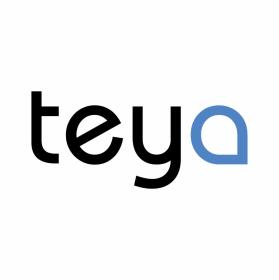 Agencja Reklamowa TEYA - Portale internetowe Pruszcz Gdański