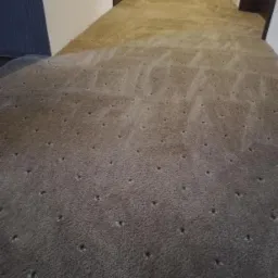 Fragment brązowego dywanu w korytarzu z ciemnymi punktami, widoczny efekt czyszczenia na części powierzchni.